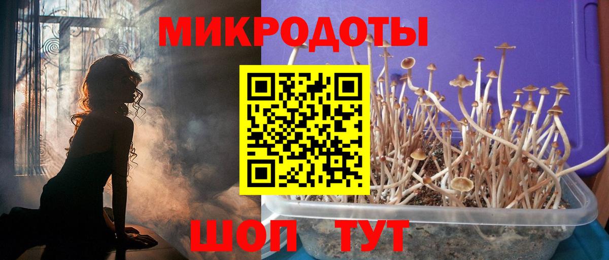 Псилоцибиновые грибы Psilocybine cubensis  Вход с VPN  Дербент 